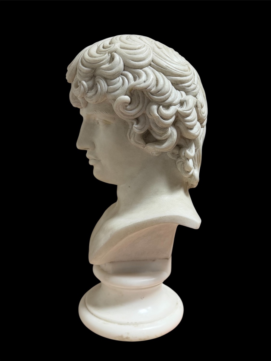 Busto di Antinoo in marmo statuario, Grand Tour, Roma, inizio XIX secolo-photo-2