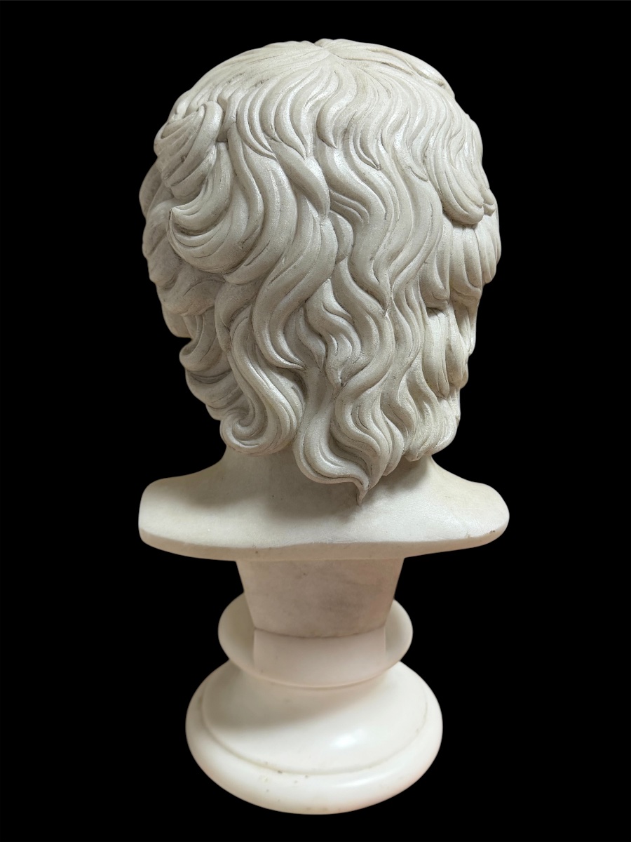 Busto di Antinoo in marmo statuario, Grand Tour, Roma, inizio XIX secolo-photo-3