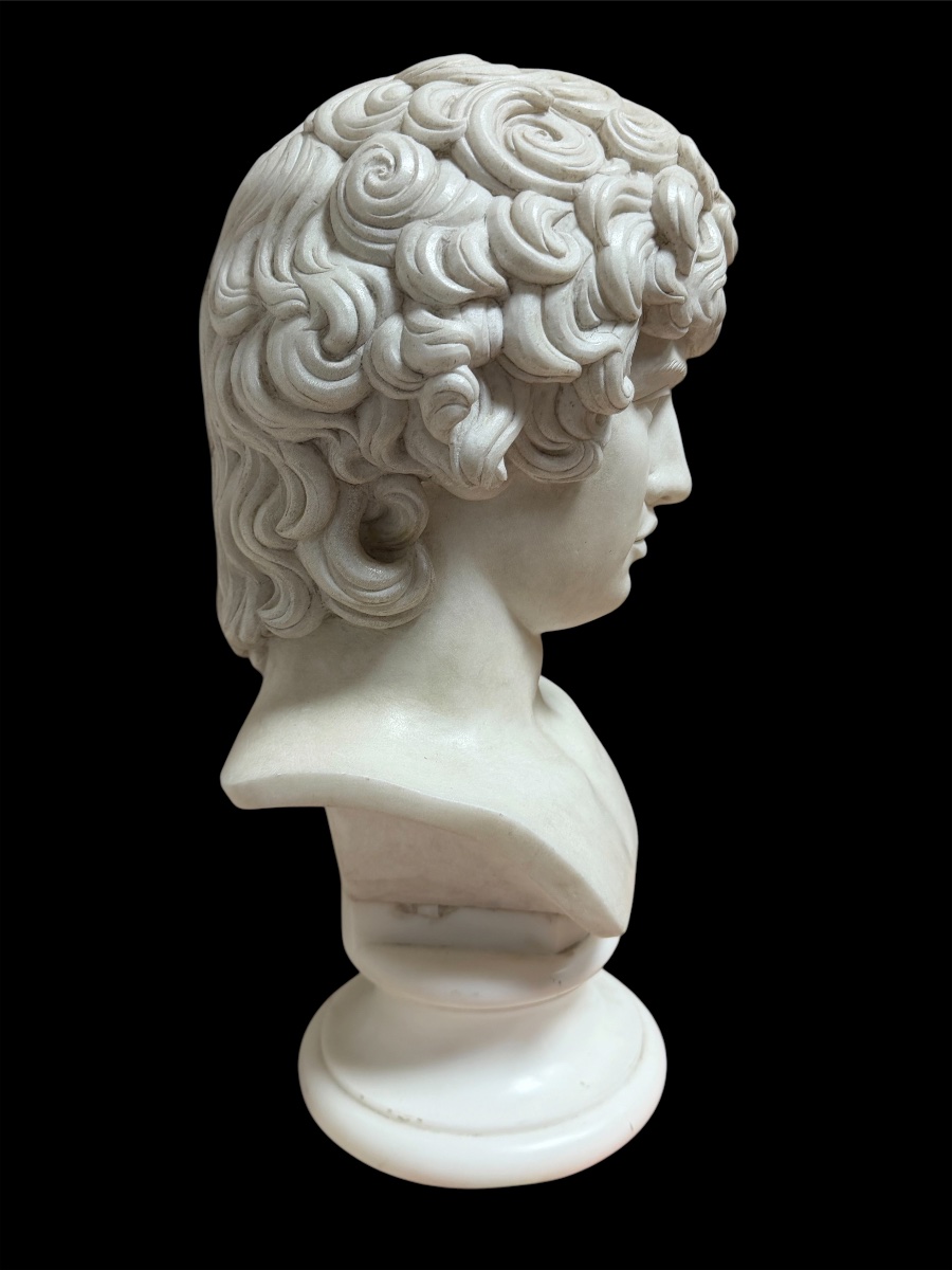 Busto di Antinoo in marmo statuario, Grand Tour, Roma, inizio XIX secolo-photo-4