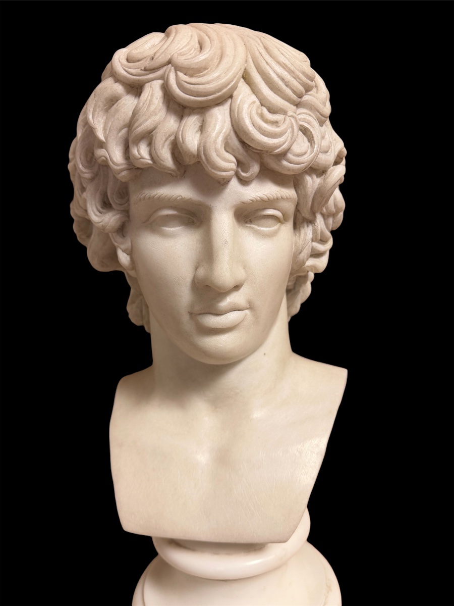 Busto di Antinoo in marmo statuario, Grand Tour, Roma, inizio XIX secolo-photo-1
