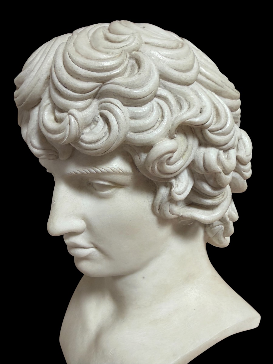 Busto di Antinoo in marmo statuario, Grand Tour, Roma, inizio XIX secolo-photo-2