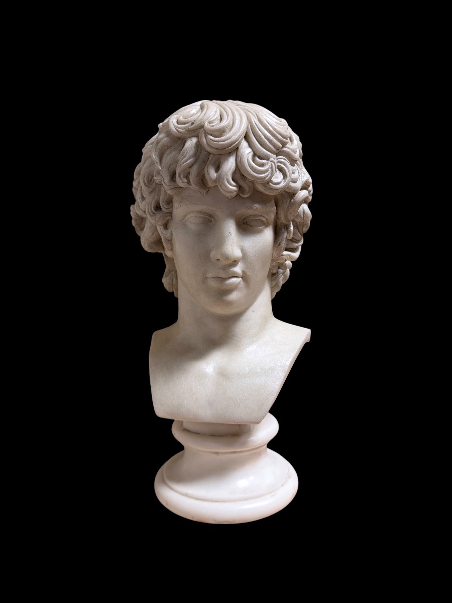 Busto di Antinoo in marmo statuario, Grand Tour, Roma, inizio XIX secolo