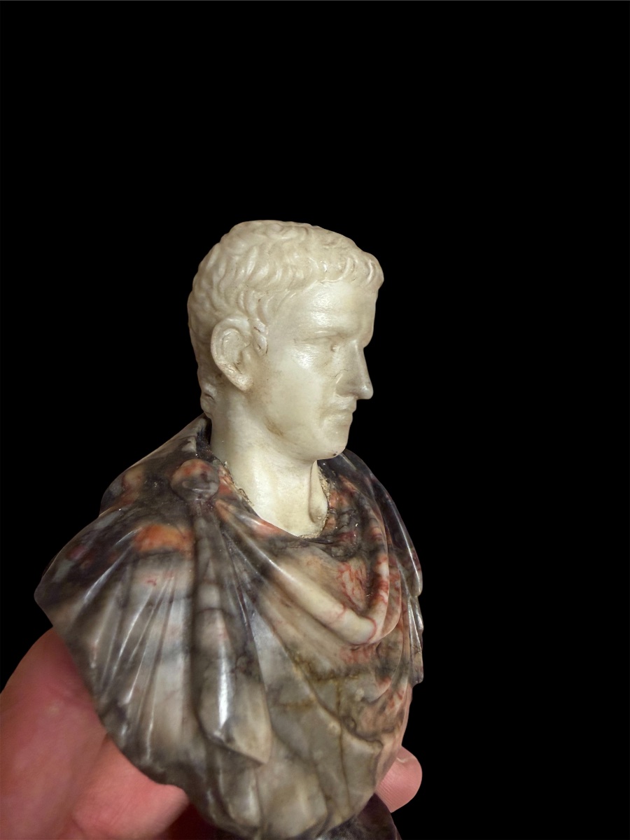 Busto Grand Tour in marmo statuario, africano e porta santa — Imperatore romano, Roma, XVIII S.-photo-2