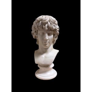 Busto di Antinoo in marmo statuario, Grand Tour, Roma, inizio XIX secolo