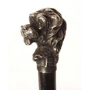 Antique Cane With Silver-plated Metal Handle, Poodle Dog Head, Wooden Shaft, 19th Century