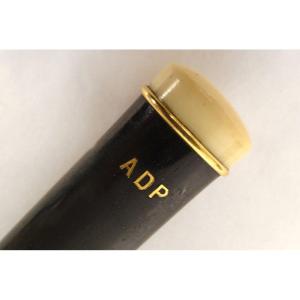 Dandy Smoking Evening Cane In Blackened Wood, 18k Solid Gold, Eagle Head, Adp, 19th Century