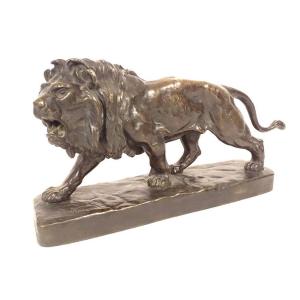 Bronze Sculpture Of A Roaring Walking Lion By Louis Vidal Navatel, Blind, 19th Century