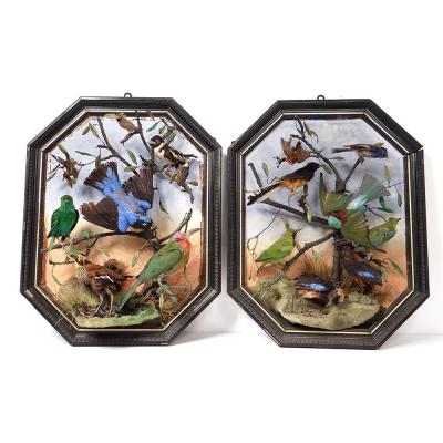 Pair Bird Paintings Naturalized Landscapes Branches Napoleon III Nineteenth