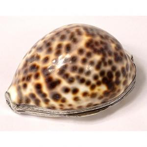 Porcelain Speckled Shell Snuffbox Frame Sterling Silver Nineteenth Century