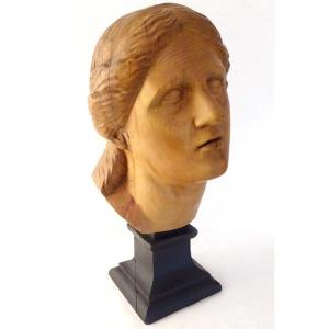 Head Sculpture Young Woman Aphrodite Carved Natural Wood Late 19th Century