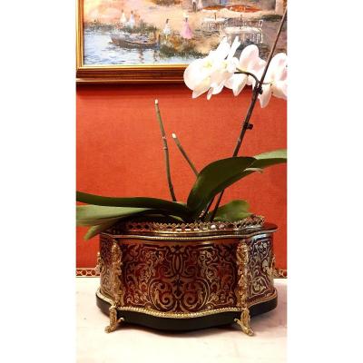 Boulle Marquetry Planter