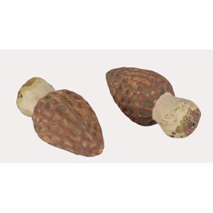 Pair Of Trompe l'Oeil Morels