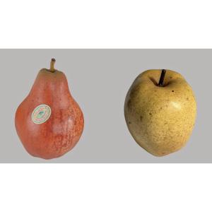 Pear And Apple In Trompe l'Oeil