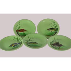 Proceram Fish Service