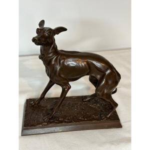 Bronze Greyhound