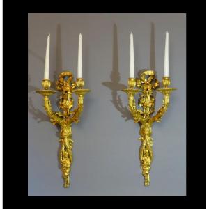 - Pair Of Louis XVI XIXth Sconces