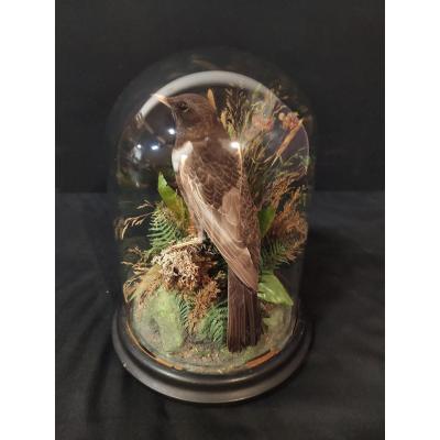 Globe With The Bird Napoleon III