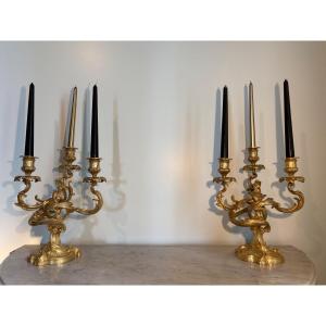 Louis XV Gilded Bronze Rocaille Candlesticks