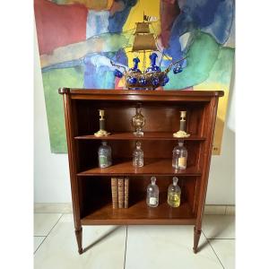 Louis XVI Style Mahogany Bookcase/library With Brass Stringing 