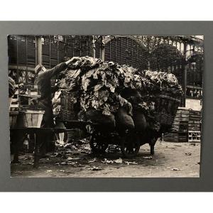 Silver Photo Bernard Darot 20th Cart Of Cabbages