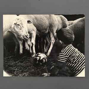 Black And White Photo Titled Rencontre By Robert Laporte XXe