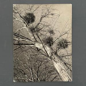 Black And White Photograph Titled Guy's Balls By Robert Laporte, 20th Century