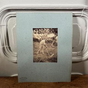 Albumen Print Mounted On Cardboard A. Focelle 19th Century