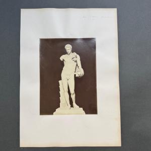 Albumen Print Depicting Antinous - Vatican Museum