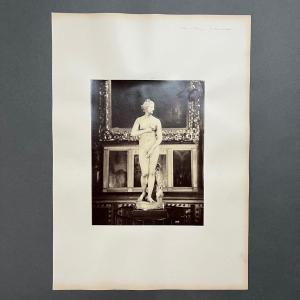 Photo Albumen Museum Of Florence - The Medici Venus 19th Century