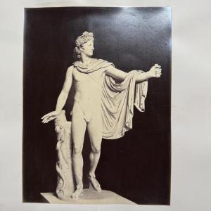 Photo Albumen Rome Apollo Of The Belvedere Vatican Museum
