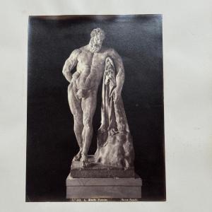 Albumen Photo Mounted On Cardboard Depicting The Farnese Hercules 19th Century