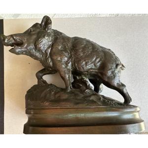 Wild Boar