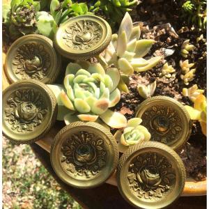 The 6 Little Curtain Tiebacks With The Rose