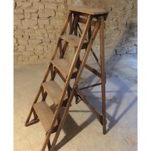 Oak Library Or Workshop Stepladder