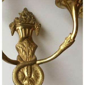 The Pair Of Snakes And Bouquets Of Flowers Sconces, Circa 1900