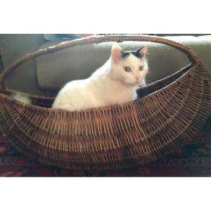 Folk Art, Very Large Shuttle-shaped Basket, Ikebana 