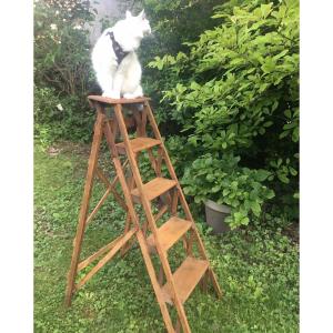 Oak Library Or Workshop Stepladder