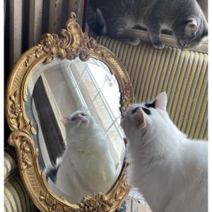 Small Carved And Gilded Mirror In The Louis XV Style