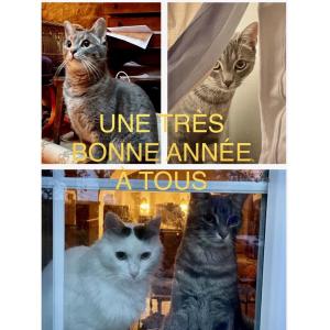 Happy New Year Everyone!