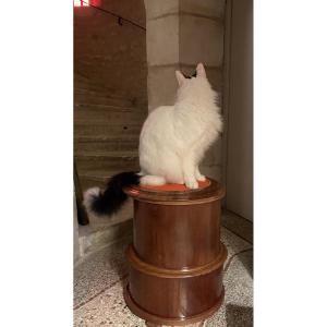 English Mahogany Stool, Chest Or Column, 19th Century