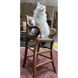 High Chair With Seat And Frame 