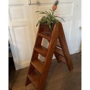 Mahogany Library Step Ladder / Staircase 