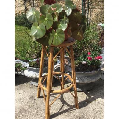 Bamboo Bolster, 1950s