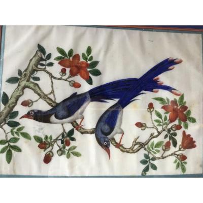 Painting On Rice Paper, Canton, China, XIXth Century