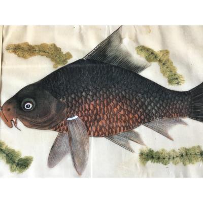 Gouache On Rice Paper, Canton, China, XIXth Century