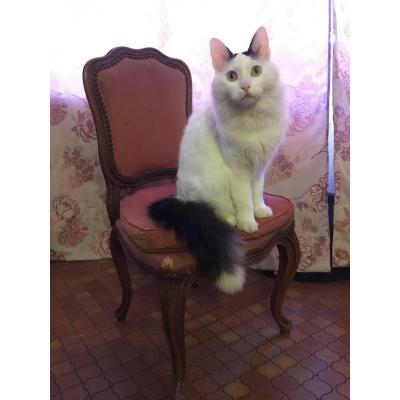 Louis XV Style Natural Wood Child Chair