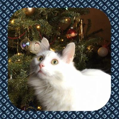 A Very Happy New Year To All