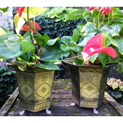 Pair Of Cache Pots In Lacquered Tin Restoration Period