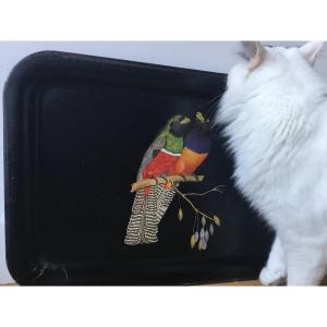 Sheet Metal Serving Tray, Parrots Decor