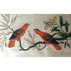 China Canton XIXth Century, Gouache On Rice Paper, Couple Of Parrots